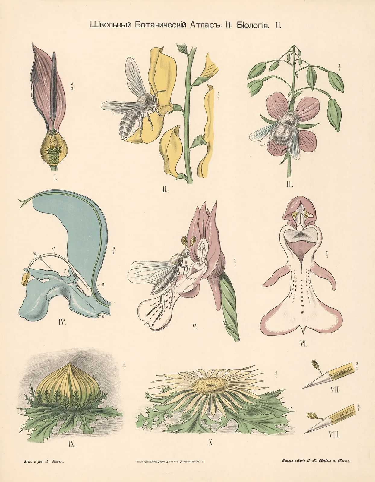 Pistil av Alexander-Paul Henckel