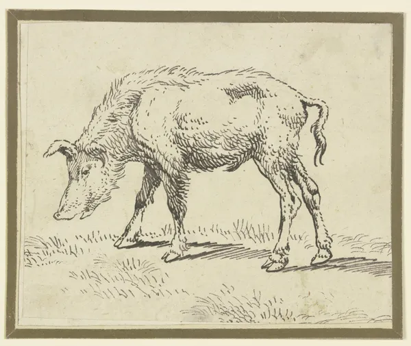A pig to the left av Paulus Potter