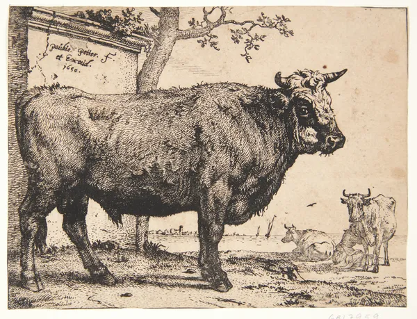 En tyr av Paulus Potter