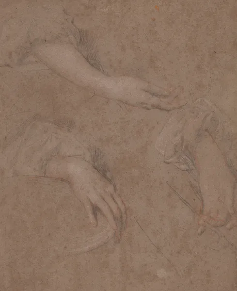 Drawings of Hands av Sir Peter Lely