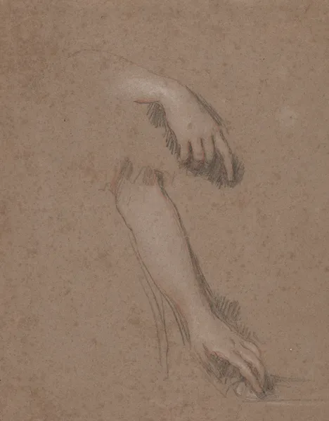 Drawings of Hands av Sir Peter Lely