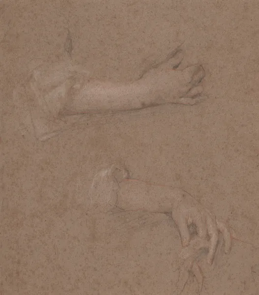Drawings of Hands av Sir Peter Lely