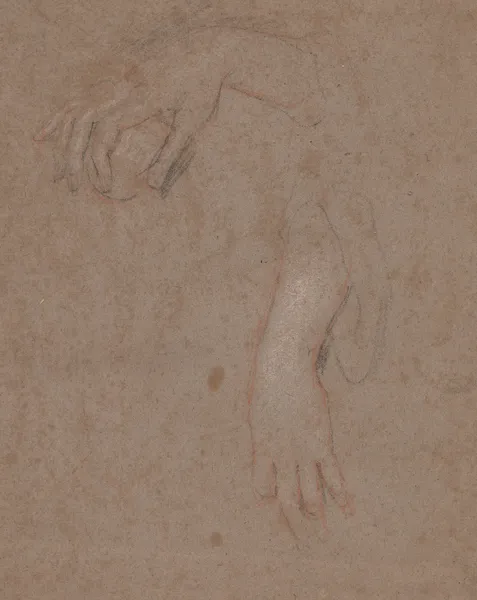 Drawings of Hands av Sir Peter Lely