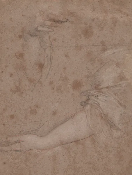 Drawings of Hands av Sir Peter Lely