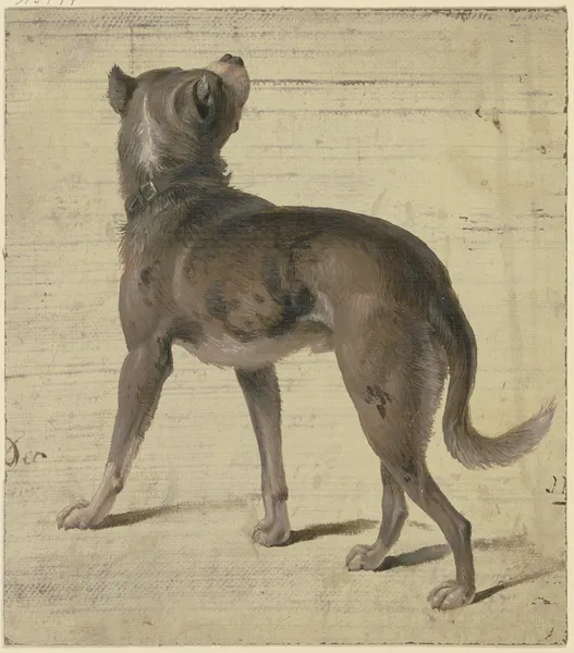 Dog av Philipp Rumpf