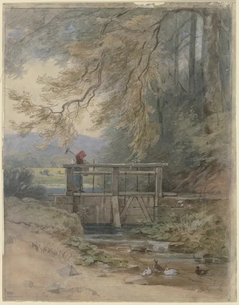 Forest landscape with weir av Philipp Rumpf