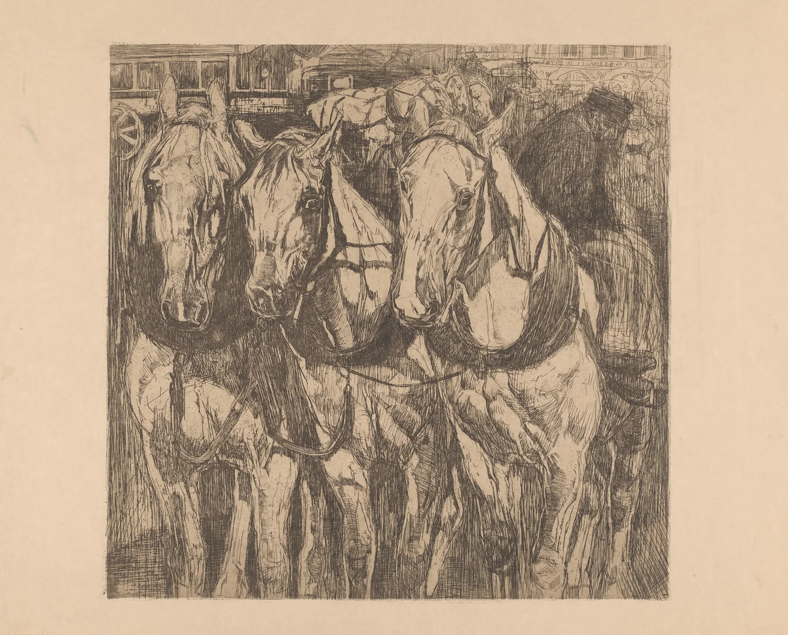 Drie trekpaarden av Pieter Dupont