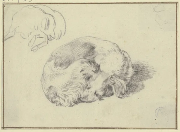 Two sleeping dogs av Nicolaes Pietersz. Berchem