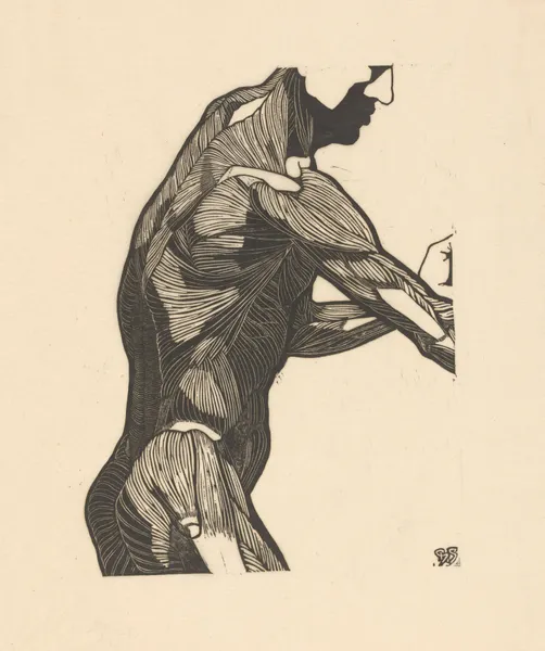 Study of the lateral and arm muscles. av Reijer Stolk
