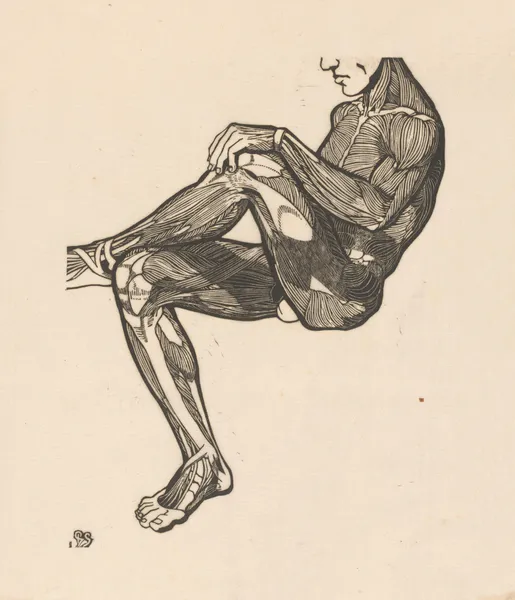 Study of the leg and arm muscles. av Reijer Stolk