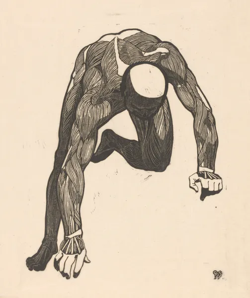 Study of the neck, arm, and leg muscles. av Reijer Stolk