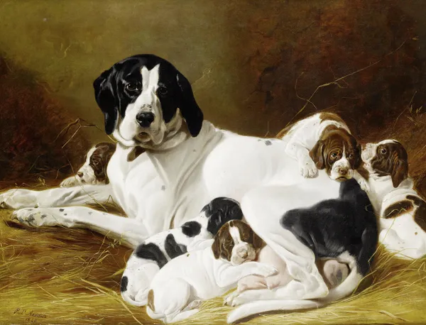 The New Litter av Richard Ansdell