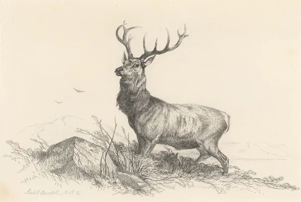 The Sentinel av Richard Ansdell