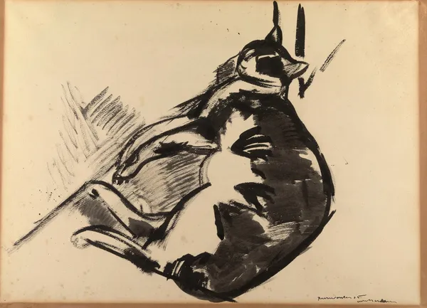 Cat Lying av Rik Wouters