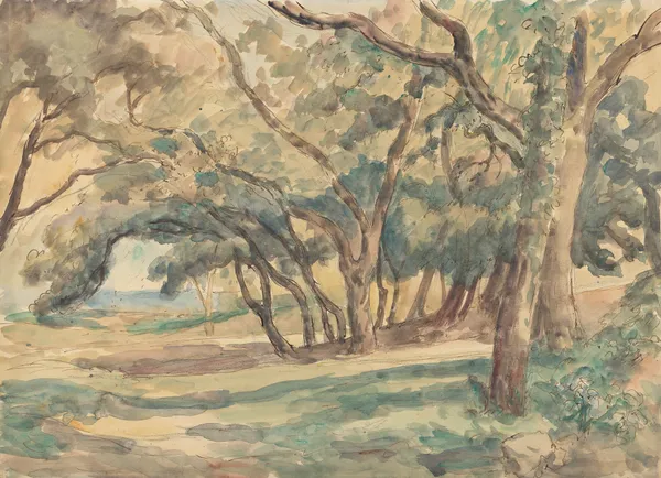 Wooded Glade near St. Tropez av Roger Fry