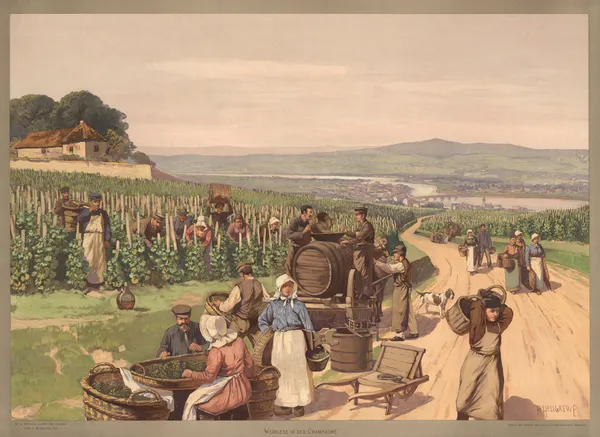 Europa – Weinlese in der Champagne av Rudolf Hellgrewe
