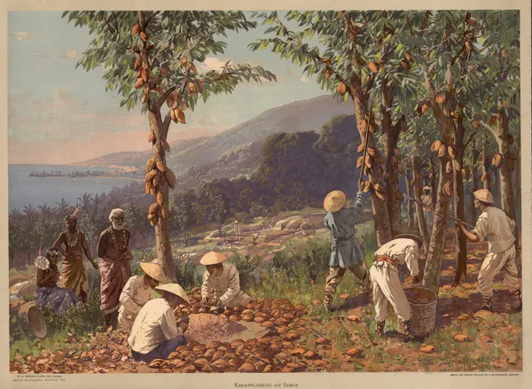 Kolonialbilder, Neue Folge – Kakaopflanzung auf Samoa av Rudolf Hellgrewe