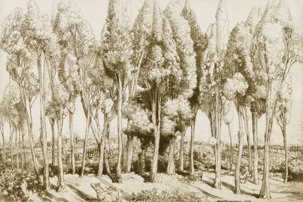 Road Song no. 5 av Donald Shaw MacLaughlan