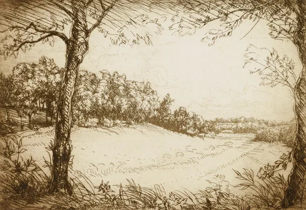 Summer Morning in Tennessee av Donald Shaw MacLaughlan