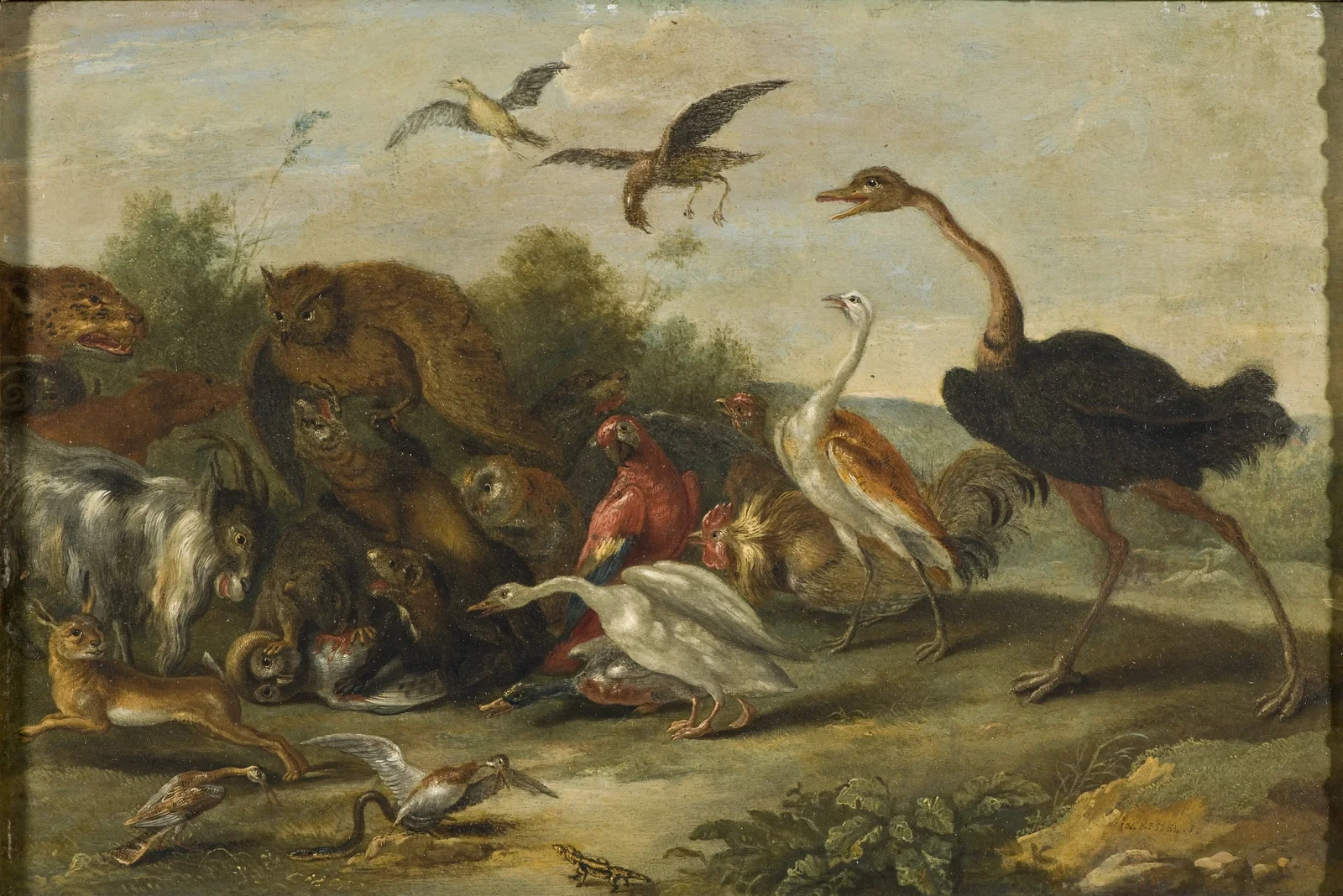 Battle between Owls and Quadrupeds av Jan Van Kessel The Elder