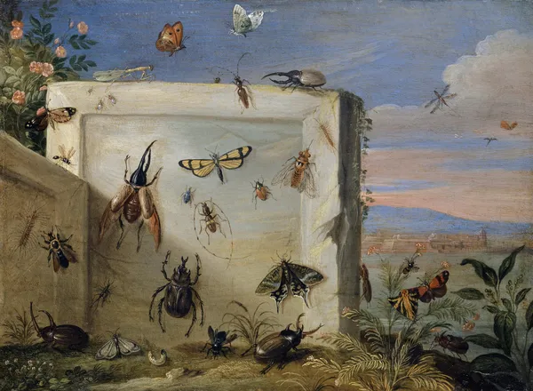 Insects on a Stone Slab av Jan Van Kessel The Elder