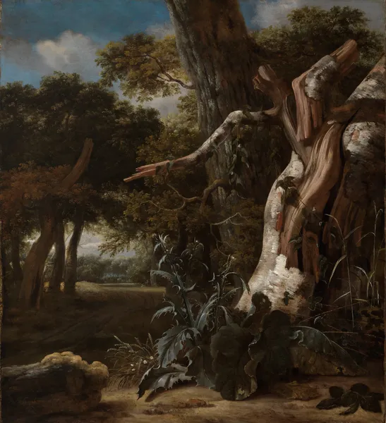 Waldlandschaft mit einer vom Blitz getroffenen Buche av Jan Van Kessel The Elder