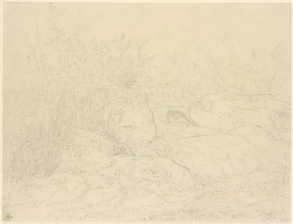 Felsen im Wald von Fontainebleau av Théodore Rousseau
