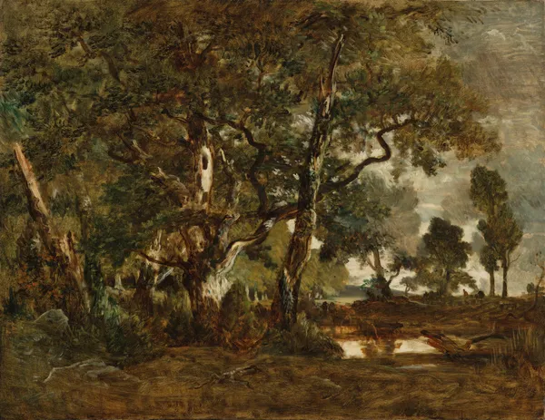 Forest of Fontainebleau, Cluster of Tall Trees Overlooking the Plain of Clair-Bois at the Edge of Ba… av Théodore Rousseau