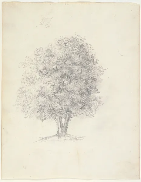 Tree Study av Théodore Rousseau