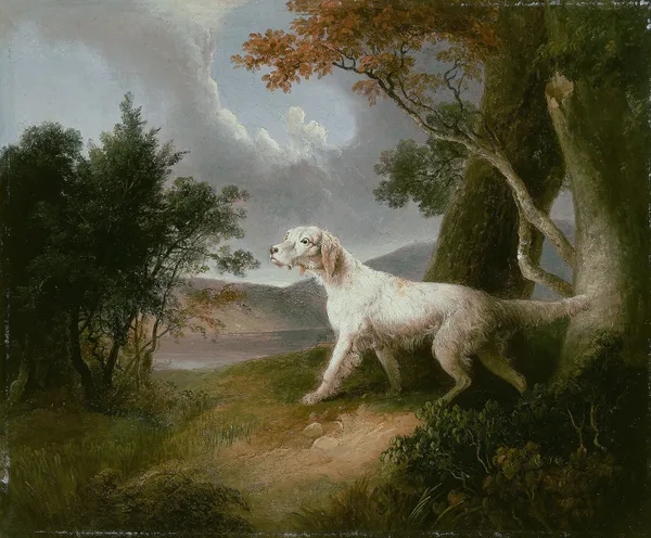 Landscape with Dog av Thomas Doughty