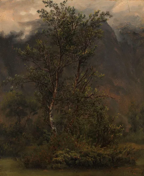 Study of Birches in Romsdal av Thomas Fearnley