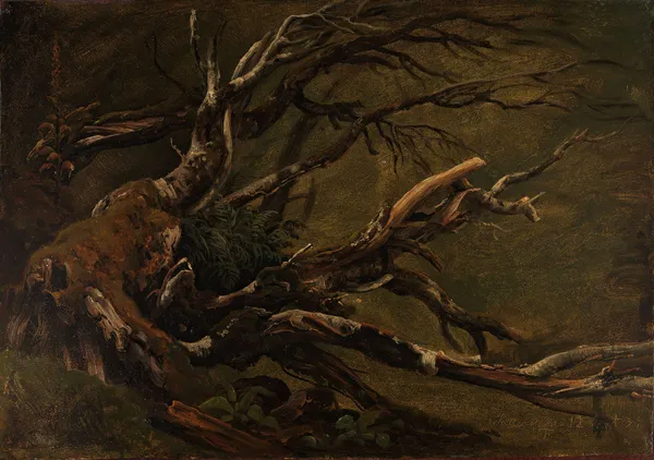 Study of decaying Tree av Thomas Fearnley