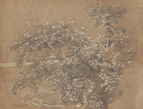 Foliage (late 19th century) av William Trost Richards
