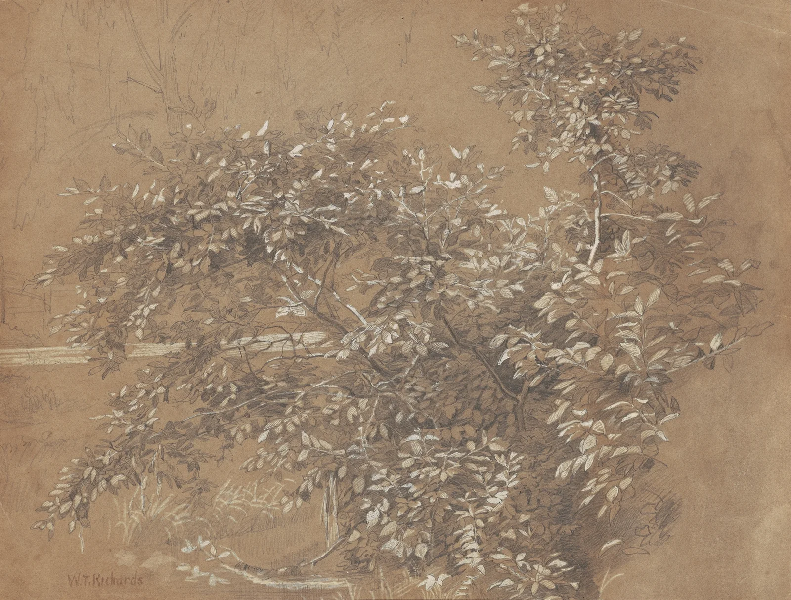 Foliage (late 19th century) av William Trost Richards