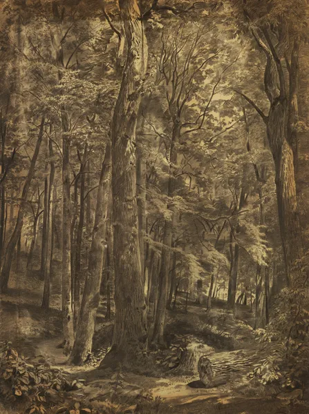 In The Woods av William Trost Richards