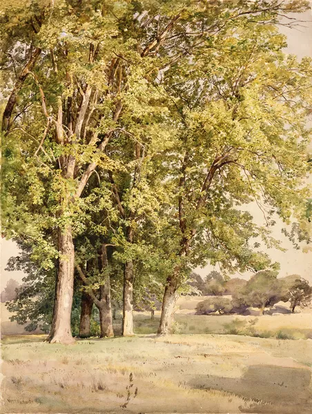 Maples in Chester County, Pennsylvania av William Trost Richards
