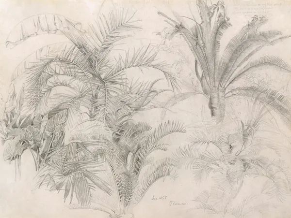 Palms av William Trost Richards