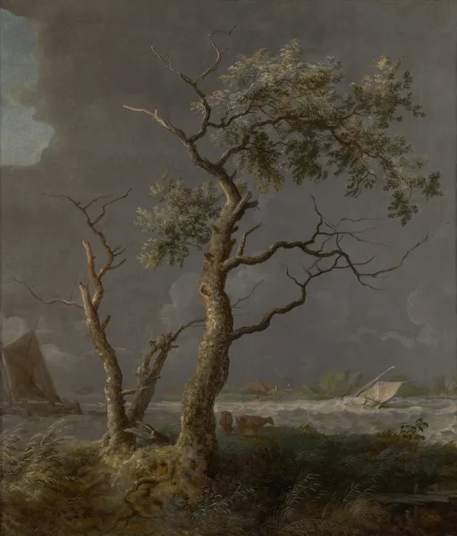 Trees by the water av Allaert van Everdingen