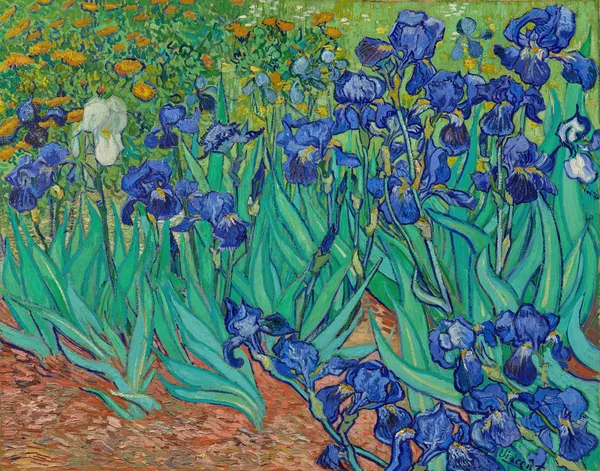 Irises av Vincent van Gogh