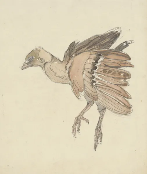 Dood vogeltje av Theo van Hoytema