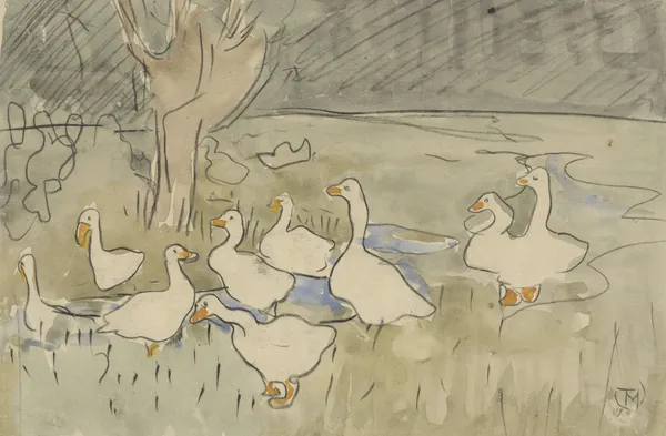 Ducks av Theo van Hoytema