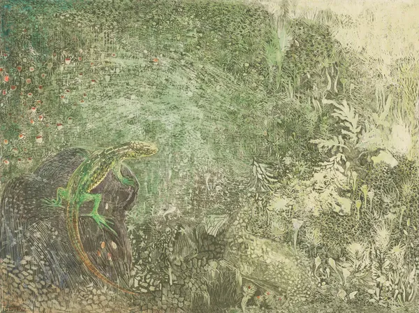 Lizard On A Stone av Theo van Hoytema