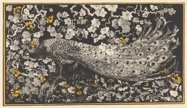 Peacock av Theo van Hoytema