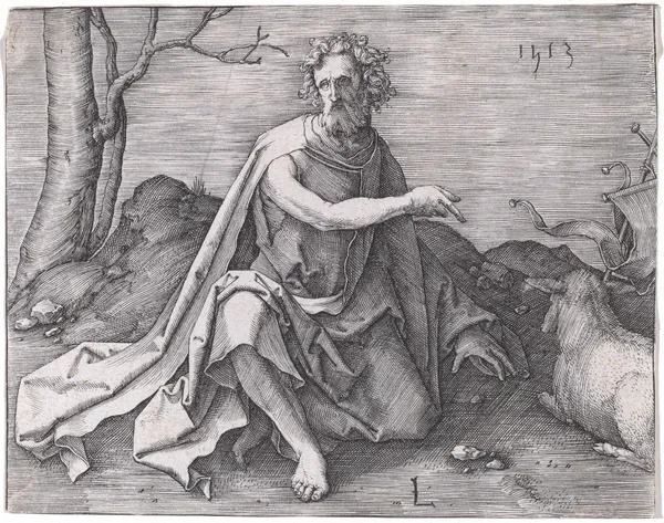 Saint John the Baptist in the Desert av Lucas Van Leyden