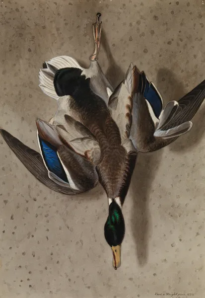 Hanging Mallard av Ferdinand von Wright