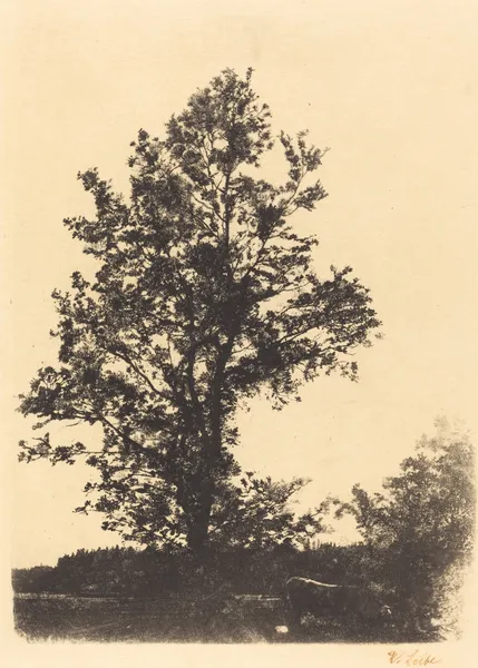 The Large Tree av Wilhelm Leibl