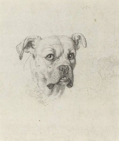 A Boxer av Johann Heinrich Wilhelm Tischbein