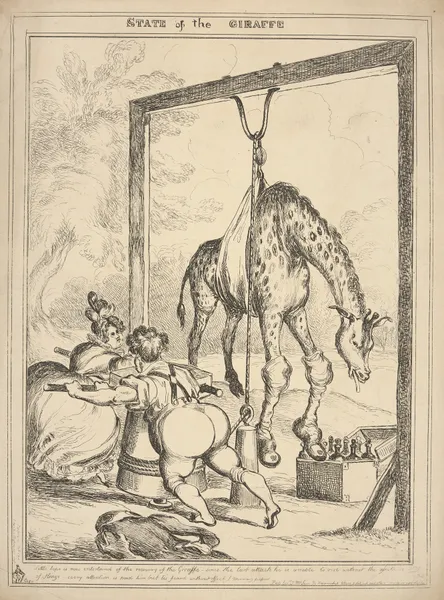 State of the giraffe. av William Heath