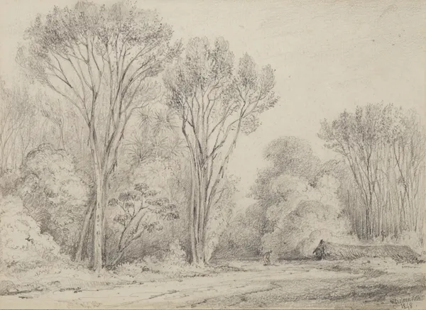 Manuka Grove on Taines Section, Upper Hutt av William Swainson