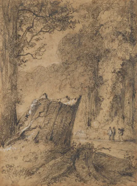 Road through the Hutt Forest, N.Z av William Swainson